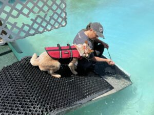 Beginning Dock Diving